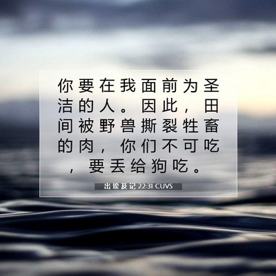 Picture 07 - 出 埃 及 记 22:31 CUVS - 你 要 在 我 面 前 为 圣 洁 的 人 。 - Bible Verse Picture