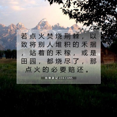 Picture 07 - 出 埃 及 记 22:6 CUVS - 若 点 火 焚 烧 荆 棘 ， 以 致 将 别 - Bible Verse Picture