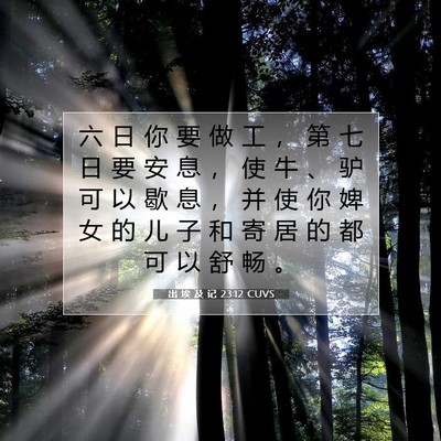 Picture 07 - 出 埃 及 记 23:12 CUVS - 六 日 你 要 做 工 ， 第 七 日 要 安 - Bible Verse Picture