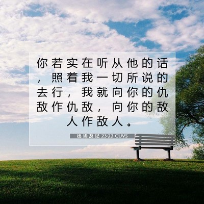 Picture 07 - 出 埃 及 记 23:22 CUVS - 你 若 实 在 听 从 他 的 话 ， 照 着 - Bible Verse Picture