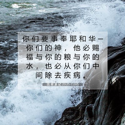 Picture 07 - 出 埃 及 记 23:25 CUVS - 你 们 要 事 奉 耶 和 华 ─ 你 们 的 - Bible Verse Picture