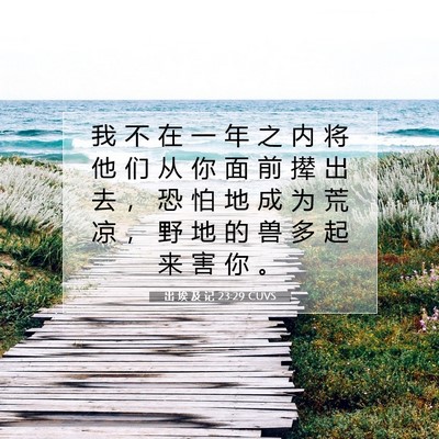 Picture 07 - 出 埃 及 记 23:29 CUVS - 我 不 在 一 年 之 内 将 他 们 从 你 - Bible Verse Picture