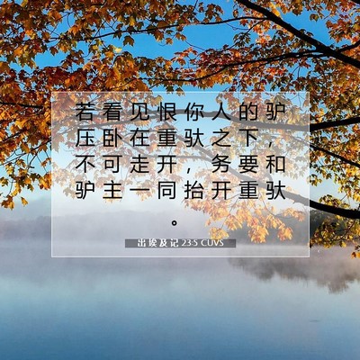 Picture 07 - 出 埃 及 记 23:5 CUVS - 若 看 见 恨 你 人 的 驴 压 卧 在 重 - Bible Verse Picture