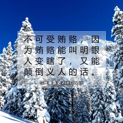 Picture 07 - 出 埃 及 记 23:8 CUVS - 不 可 受 贿 赂 ； 因 为 贿 赂 能 叫 - Bible Verse Picture