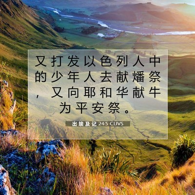 Picture 07 - 出 埃 及 记 24:5 CUVS - 又 打 发 以 色 列 人 中 的 少 年 人 - Bible Verse Picture