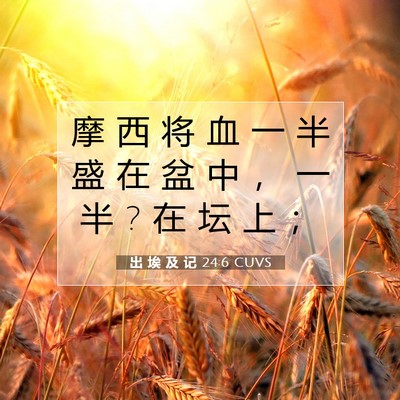 Picture 07 - 出 埃 及 记 24:6 CUVS - 摩 西 将 血 一 半 盛 在 盆 中 ， 一 - Bible Verse Picture