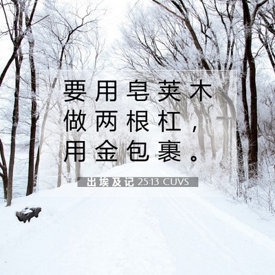 Picture 07 - 出 埃 及 记 25:13 CUVS - 要 用 皂 荚 木 做 两 根 杠 ， 用 金 - Bible Verse Picture