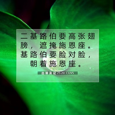 Picture 07 - 出 埃 及 记 25:20 CUVS - 二 基 路 伯 要 高 张 翅 膀 ， 遮 掩 - Bible Verse Picture