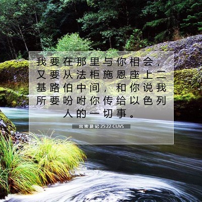 Picture 07 - 出 埃 及 记 25:22 CUVS - 我 要 在 那 里 与 你 相 会 ， 又 要 - Bible Verse Picture