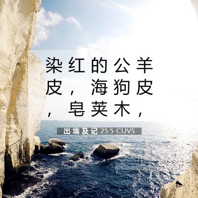 Picture 07 - 出 埃 及 记 25:5 CUVS - 染 红 的 公 羊 皮 ， 海 狗 皮 ， 皂 - Bible Verse Picture