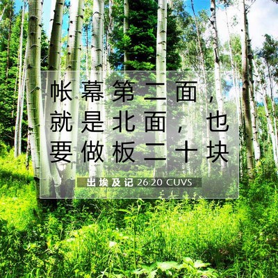 Picture 07 - 出 埃 及 记 26:20 CUVS - 帐 幕 第 二 面 ， 就 是 北 面 ， 也 - Bible Verse Picture