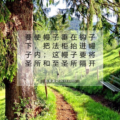 Picture 07 - 出 埃 及 记 26:33 CUVS - 要 使 幔 子 垂 在 钩 子 下 ， 把 法 - Bible Verse Picture