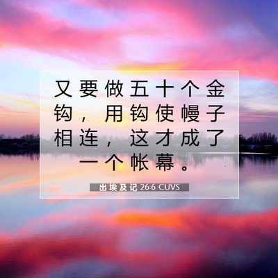 Picture 07 - 出 埃 及 记 26:6 CUVS - 又 要 做 五 十 个 金 钩 ， 用 钩 使 - Bible Verse Picture