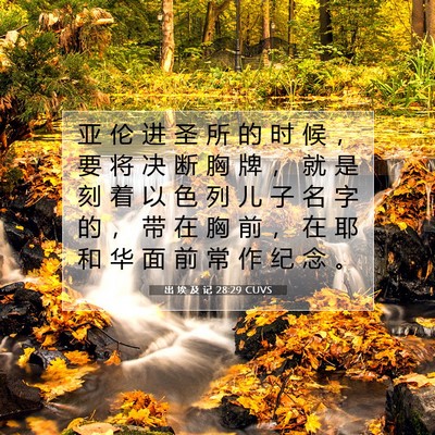 Picture 07 - 出 埃 及 记 28:29 CUVS - 亚 伦 进 圣 所 的 时 候 ， 要 将 决 - Bible Verse Picture