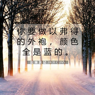 Picture 07 - 出 埃 及 记 28:31 CUVS - 你 要 做 以 弗 得 的 外 袍 ， 颜 色 - Bible Verse Picture