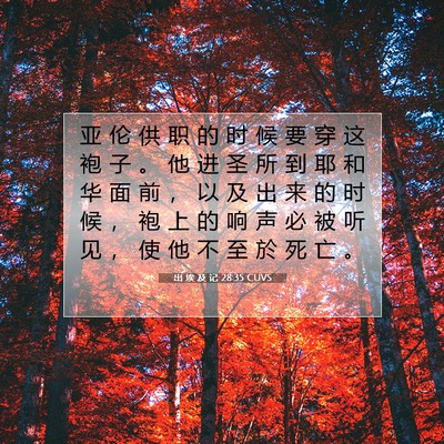 Picture 07 - 出 埃 及 记 28:35 CUVS - 亚 伦 供 职 的 时 候 要 穿 这 袍 子 - Bible Verse Picture