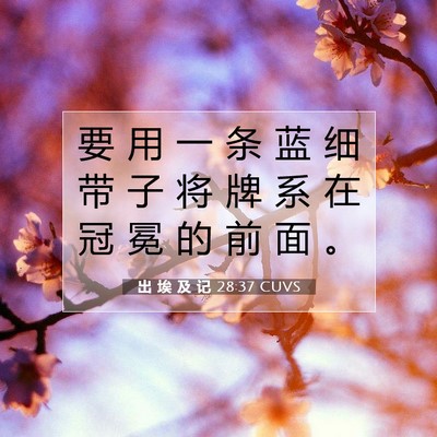 Picture 07 - 出 埃 及 记 28:37 CUVS - 要 用 一 条 蓝 细 带 子 将 牌 系 在 - Bible Verse Picture