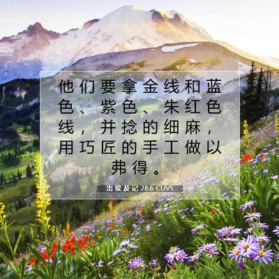 Picture 07 - 出 埃 及 记 28:6 CUVS - 他 们 要 拿 金 线 和 蓝 色 、 紫 色 - Bible Verse Picture