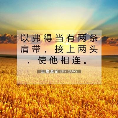 Picture 07 - 出 埃 及 记 28:7 CUVS - 以 弗 得 当 有 两 条 肩 带 ， 接 上 - Bible Verse Picture