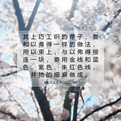 Picture 07 - 出 埃 及 记 28:8 CUVS - 其 上 巧 工 织 的 带 子 ， 要 和 以 - Bible Verse Picture
