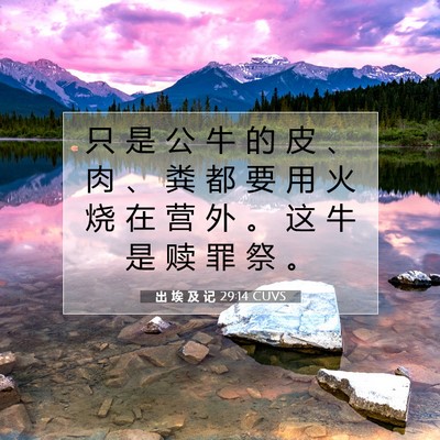 Picture 07 - 出 埃 及 记 29:14 CUVS - 只 是 公 牛 的 皮 、 肉 、 粪 都 要 - Bible Verse Picture