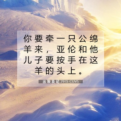 Picture 07 - 出 埃 及 记 29:15 CUVS - 你 要 牵 一 只 公 绵 羊 来 ， 亚 伦 - Bible Verse Picture