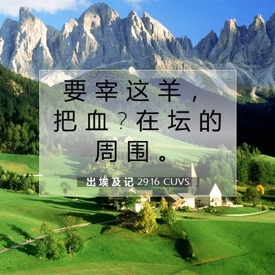 Picture 07 - 出 埃 及 记 29:16 CUVS - 要 宰 这 羊 ， 把 血 ? 在 坛 的 周 围 - Bible Verse Picture
