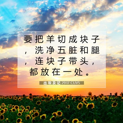 Picture 07 - 出 埃 及 记 29:17 CUVS - 要 把 羊 切 成 块 子 ， 洗 净 五 脏 - Bible Verse Picture