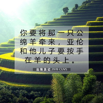 Picture 07 - 出 埃 及 记 29:19 CUVS - 你 要 将 那 一 只 公 绵 羊 牵 来 ， - Bible Verse Picture