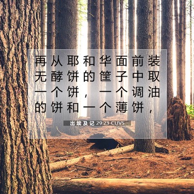 Picture 07 - 出 埃 及 记 29:23 CUVS - 再 从 耶 和 华 面 前 装 无 酵 饼 的 - Bible Verse Picture