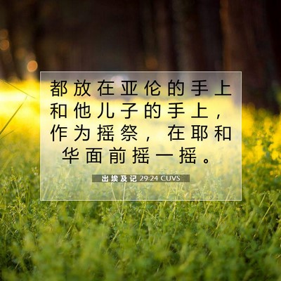 Picture 07 - 出 埃 及 记 29:24 CUVS - 都 放 在 亚 伦 的 手 上 和 他 儿 子 - Bible Verse Picture