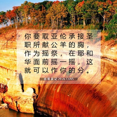 Picture 07 - 出 埃 及 记 29:26 CUVS - 你 要 取 亚 伦 承 接 圣 职 所 献 公 - Bible Verse Picture