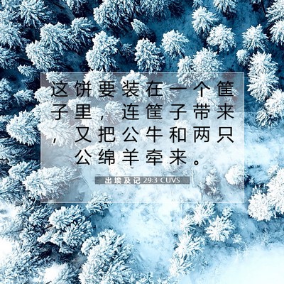 Picture 07 - 出 埃 及 记 29:3 CUVS - 这 饼 要 装 在 一 个 筐 子 里 ， 连 - Bible Verse Picture