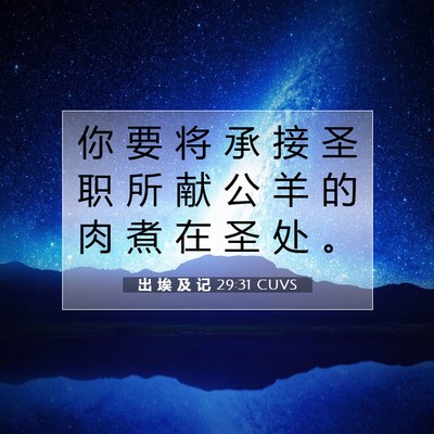 Picture 07 - 出 埃 及 记 29:31 CUVS - 你 要 将 承 接 圣 职 所 献 公 羊 的 - Bible Verse Picture