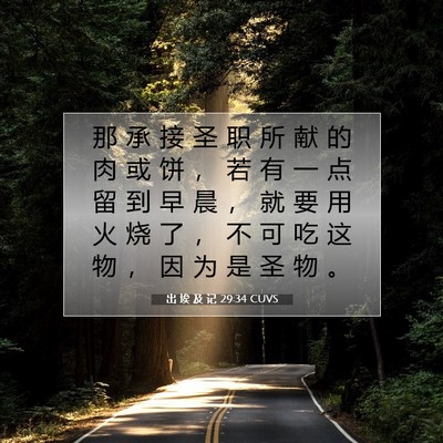 Picture 07 - 出 埃 及 记 29:34 CUVS - 那 承 接 圣 职 所 献 的 肉 或 饼 ， - Bible Verse Picture