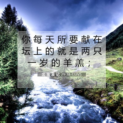 Picture 07 - 出 埃 及 记 29:38 CUVS - 你 每 天 所 要 献 在 坛 上 的 就 是 - Bible Verse Picture