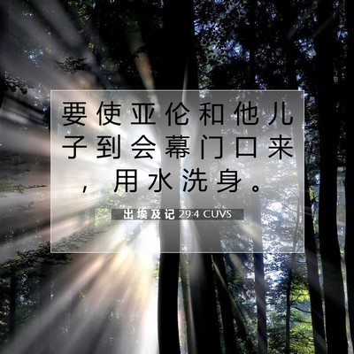 Picture 07 - 出 埃 及 记 29:4 CUVS - 要 使 亚 伦 和 他 儿 子 到 会 幕 门 - Bible Verse Picture