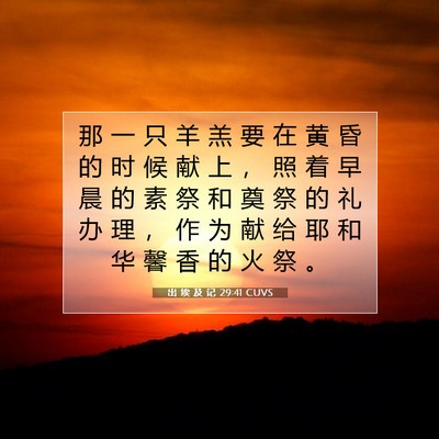 Picture 07 - 出 埃 及 记 29:41 CUVS - 那 一 只 羊 羔 要 在 黄 昏 的 时 候 - Bible Verse Picture