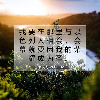 Picture 07 - 出 埃 及 记 29:43 CUVS - 我 要 在 那 里 与 以 色 列 人 相 会 - Bible Verse Picture