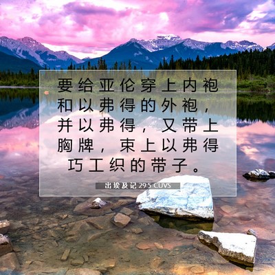 Picture 07 - 出 埃 及 记 29:5 CUVS - 要 给 亚 伦 穿 上 内 袍 和 以 弗 得 - Bible Verse Picture