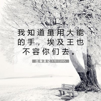 Picture 07 - 出 埃 及 记 3:19 CUVS - 我 知 道 虽 用 大 能 的 手 ， 埃 及 - Bible Verse Picture