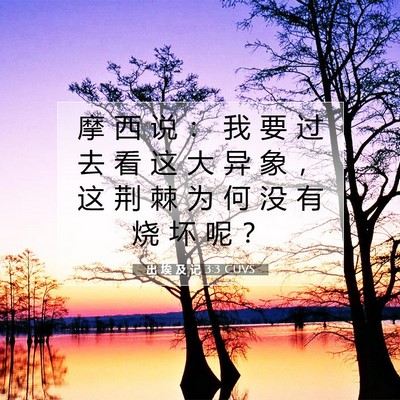 Picture 07 - 出 埃 及 记 3:3 CUVS - 摩 西 说 ： 我 要 过 去 看 这 大 异 - Bible Verse Picture
