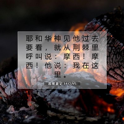 Picture 07 - 出 埃 及 记 3:4 CUVS - 耶 和 华 神 见 他 过 去 要 看 ， 就 - Bible Verse Picture