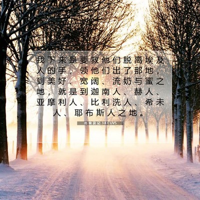 Picture 07 - 出 埃 及 记 3:8 CUVS - 我 下 来 是 要 救 他 们 脱 离 埃 及 - Bible Verse Picture