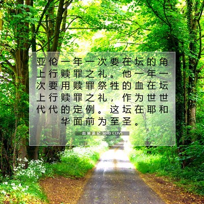 Picture 07 - 出 埃 及 记 30:10 CUVS - 亚 伦 一 年 一 次 要 在 坛 的 角 上 - Bible Verse Picture