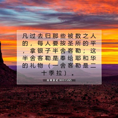 Picture 07 - 出 埃 及 记 30:13 CUVS - 凡 过 去 归 那 些 被 数 之 人 的 ， - Bible Verse Picture