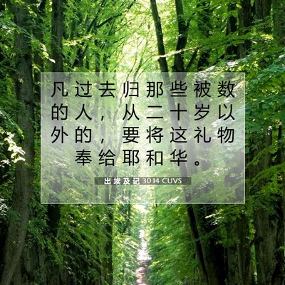 Picture 07 - 出 埃 及 记 30:14 CUVS - 凡 过 去 归 那 些 被 数 的 人 ， 从 - Bible Verse Picture