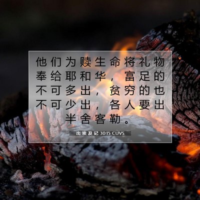 Picture 07 - 出 埃 及 记 30:15 CUVS - 他 们 为 赎 生 命 将 礼 物 奉 给 耶 - Bible Verse Picture