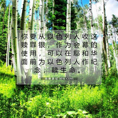 Picture 07 - 出 埃 及 记 30:16 CUVS - 你 要 从 以 色 列 人 收 这 赎 罪 银 - Bible Verse Picture