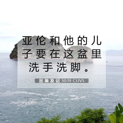Picture 07 - 出 埃 及 记 30:19 CUVS - 亚 伦 和 他 的 儿 子 要 在 这 盆 里 - Bible Verse Picture